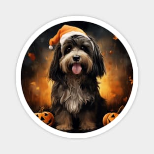 Black-Brown Tibetan terrier Halloween Magnet